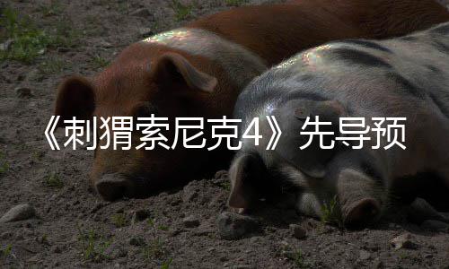 磅新猬索先导袭来空降强势重预告尼克角色刺