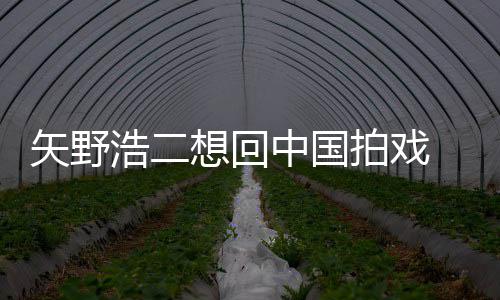 拍戏想回矢野 矢二人么样气怎中国浩二野浩